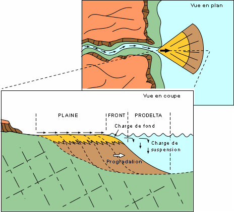 river delta