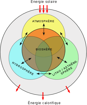 Ecology is teh study of teh biospheres' parts