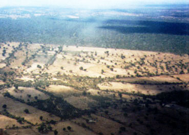 deforested africa
