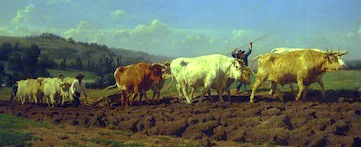 Rose Bonheur, 1889, plowed fields