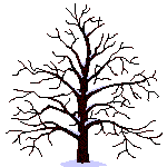 animation of a growing tree