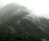 fog