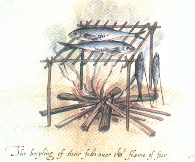 White's fish as food and fire