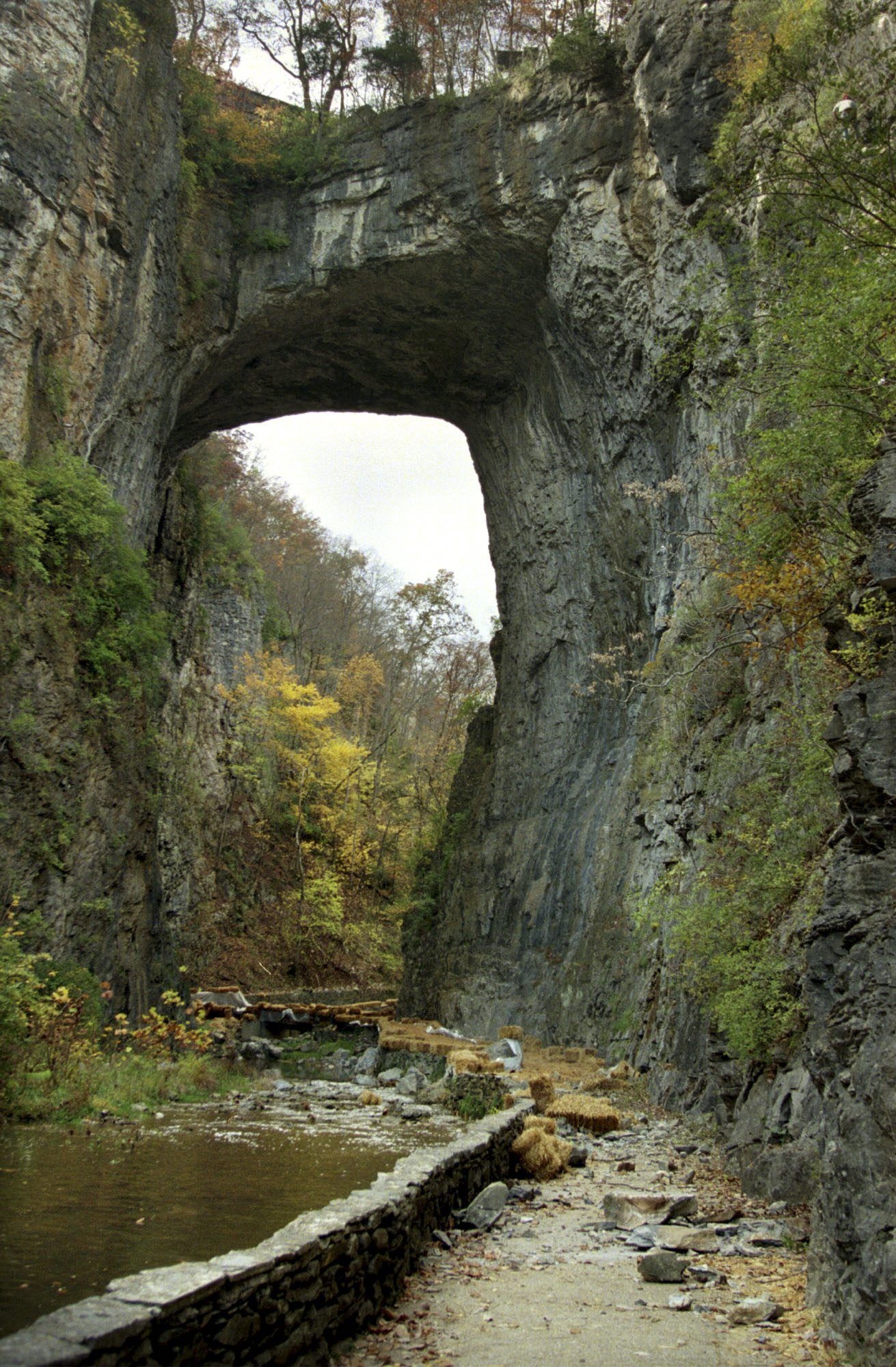 Bridge natural nissan virginia #10