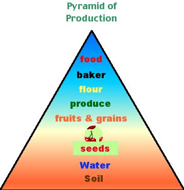 production of food