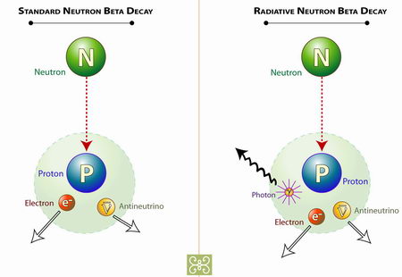 proton vs neutron
