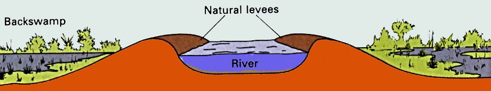 River levees