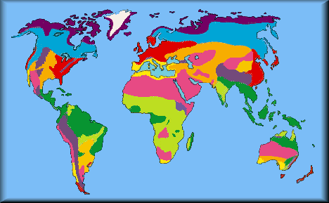 A Biome Map