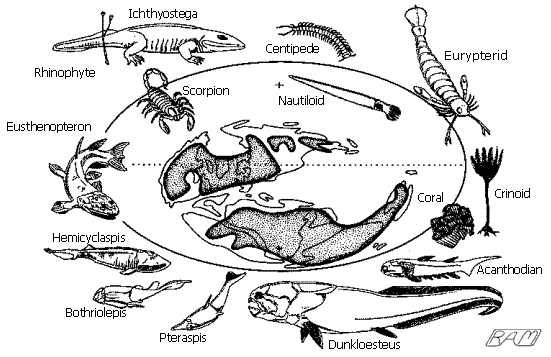 Devonian Fauna