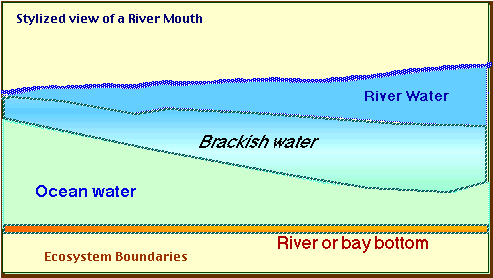 Water density