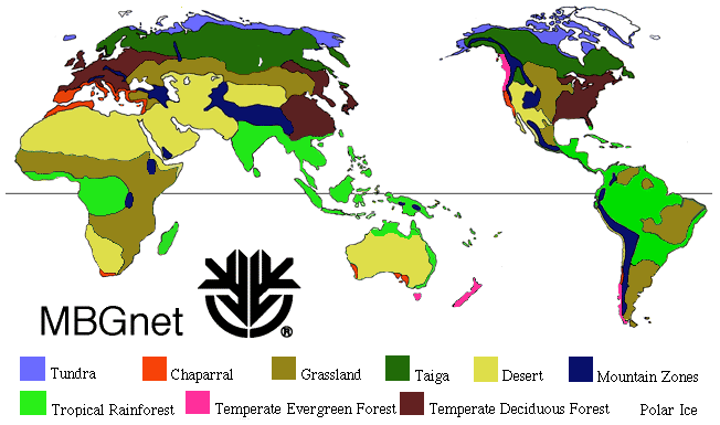 Detailed map of biome