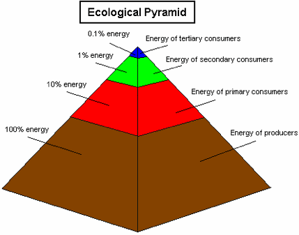 pyramid