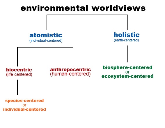 Essay on our environment