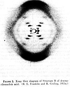 X-ray of DNA alpha sequence