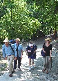 The members of the Institute walking up to the castle
