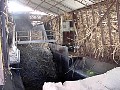 Cane is chopped by massive rotating blades. Trash is removed.