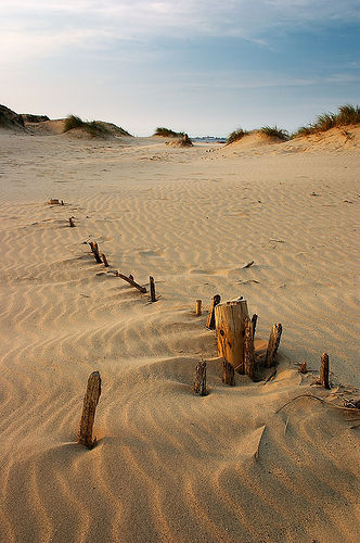 dunes