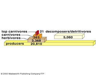 biomass