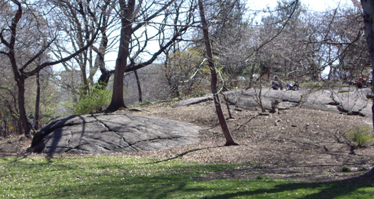 Rock in Central Park