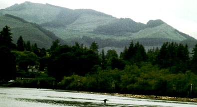 Columbia river logging