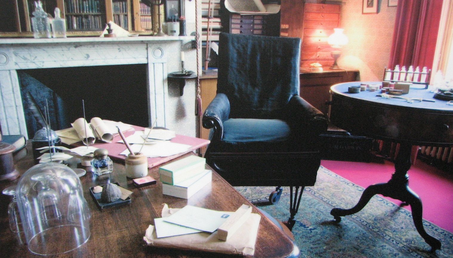 Darwin's study