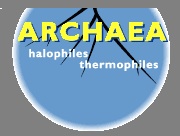 Archaeobacteria
