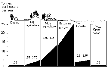 The productivity of estuaries