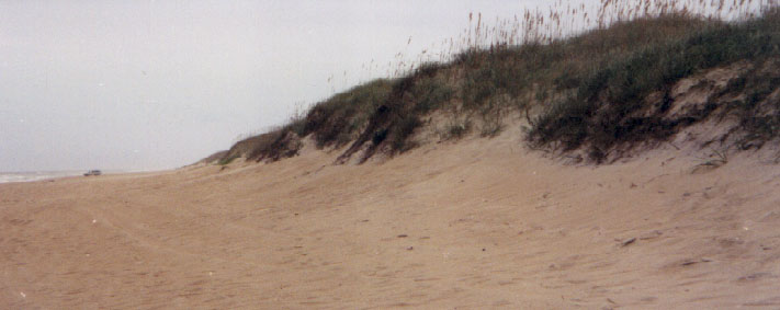 dunes