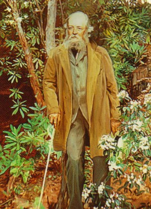 Frederick Law olmstead Sr.