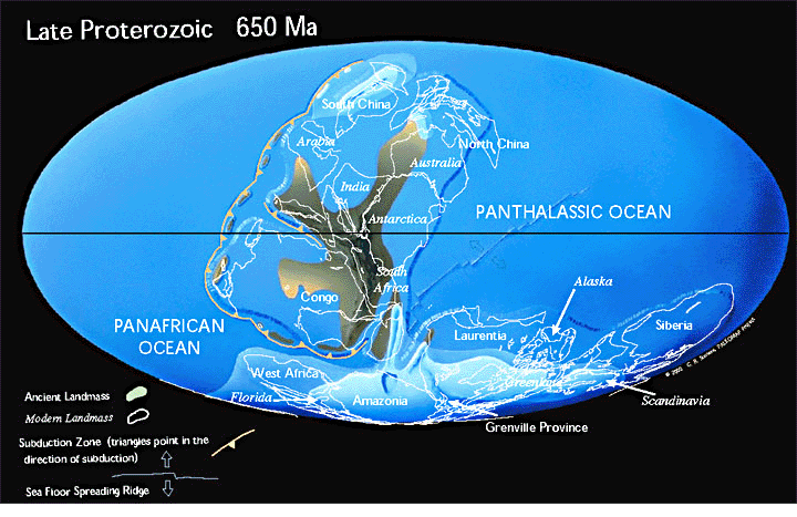 Geological time 650 million to 200 million years