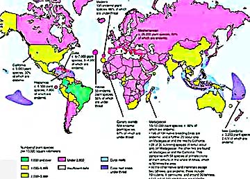 map of diversity