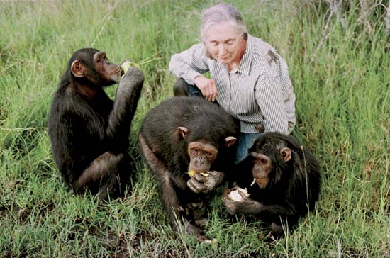 Jane Goodall