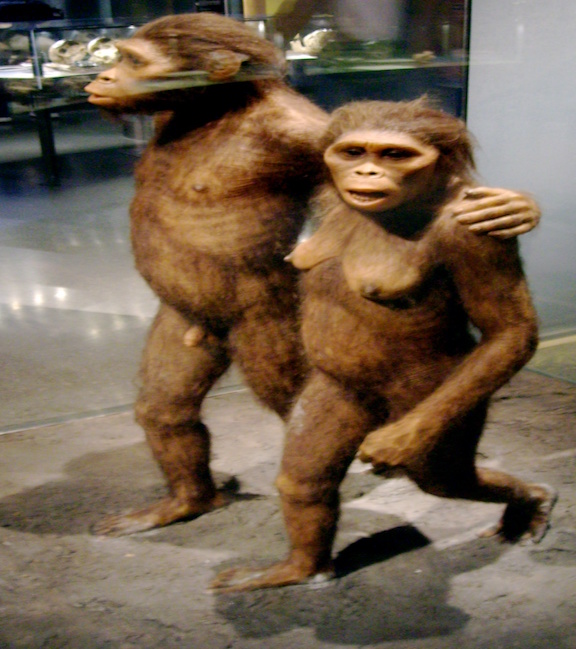 hominids