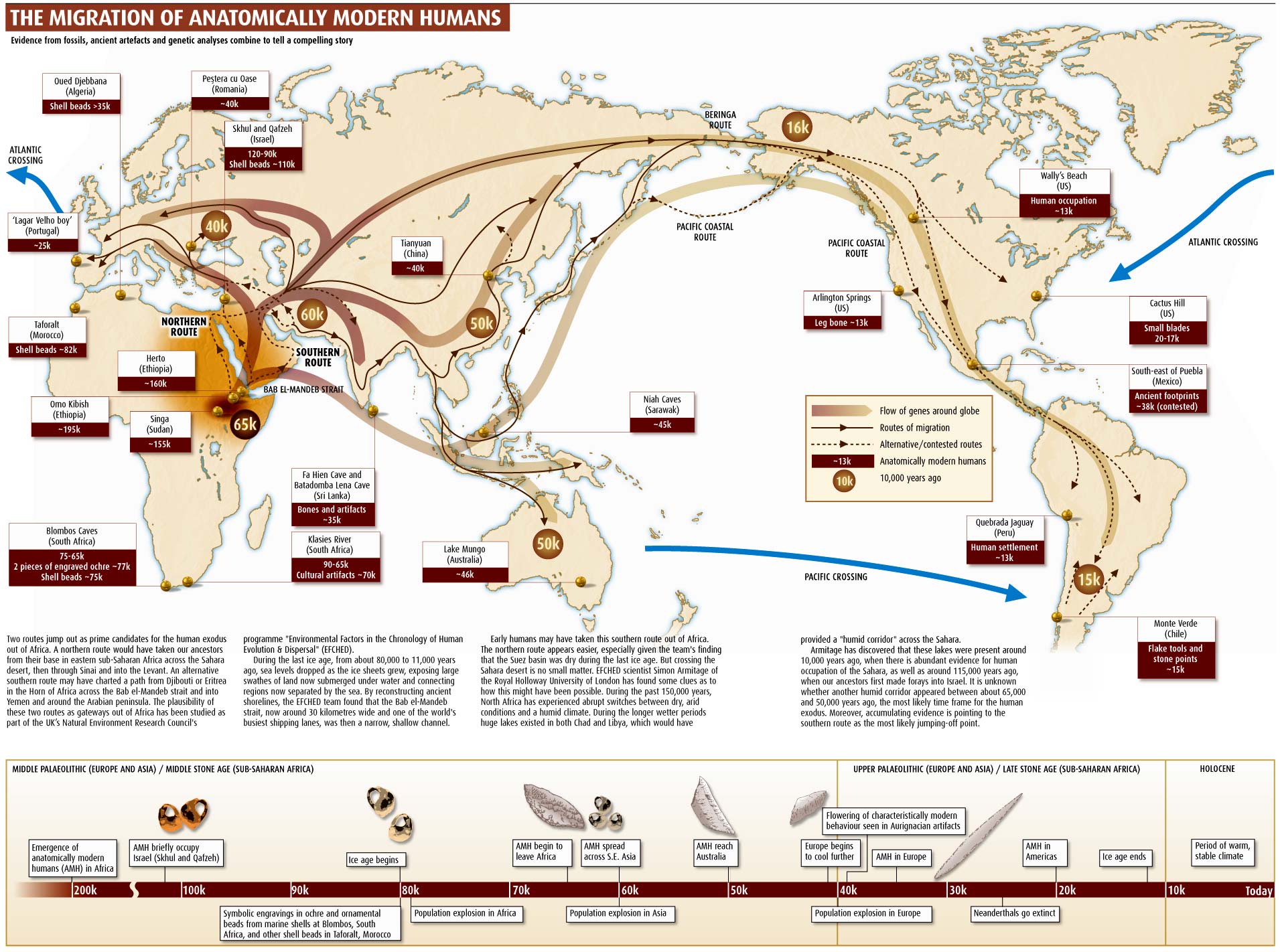 Human descent & migration patterns