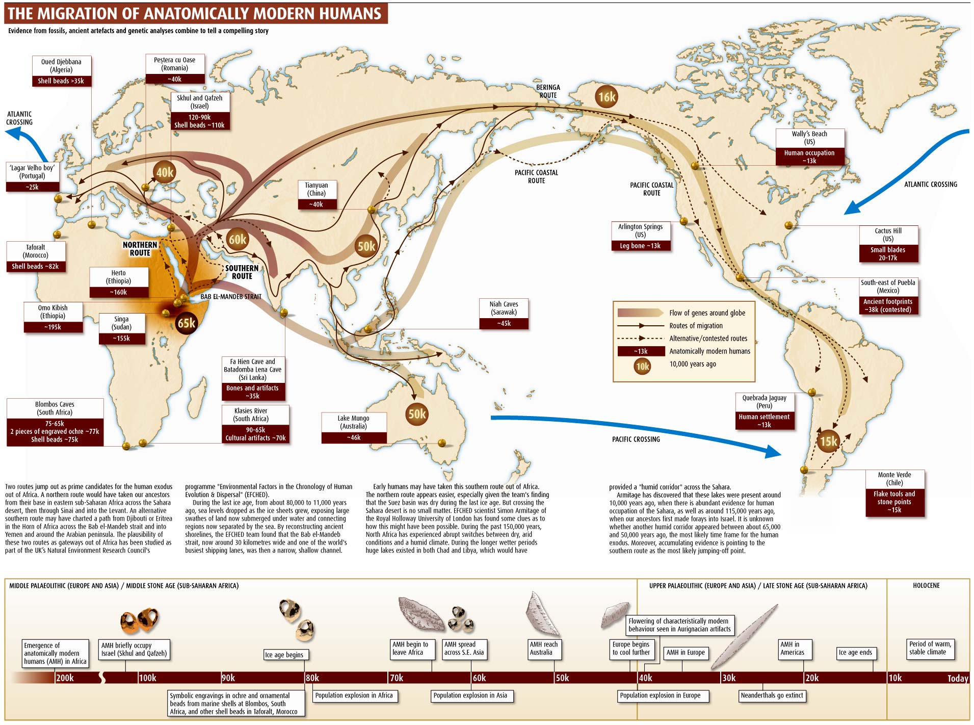 Orgins of humankind