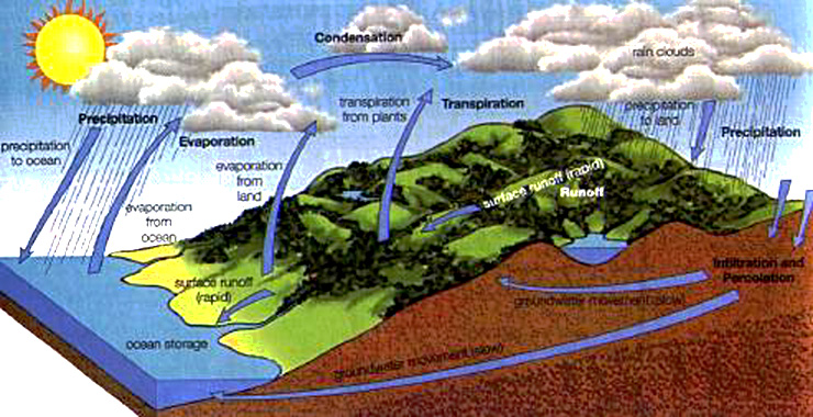 hydrological cycle