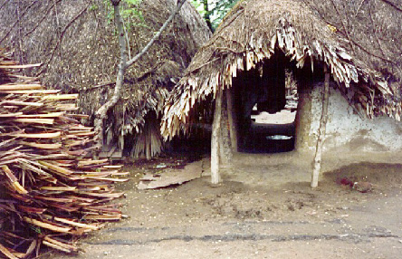 Indian hut