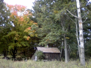 leopold's shack