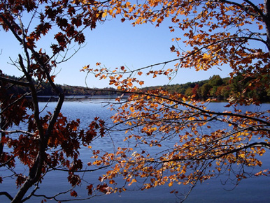 a lake in Maine