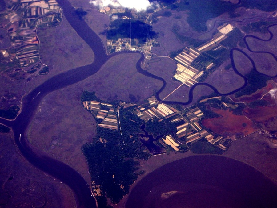 Chesapeake bay wetlands