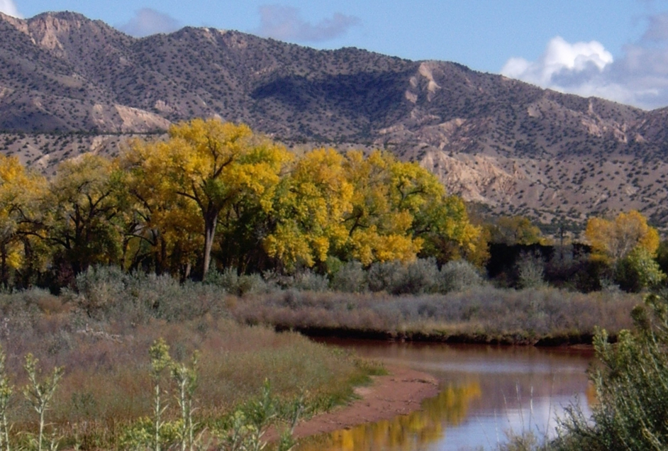 New Mexico landscape