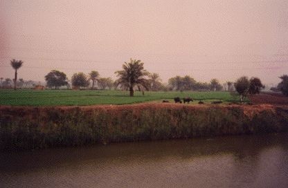 Nile river deltas