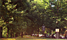 Boston park