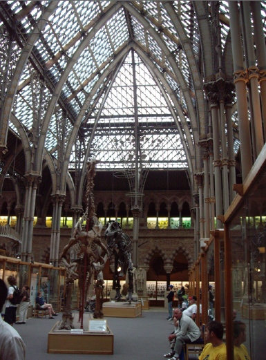 Oxford Museum of Natural History