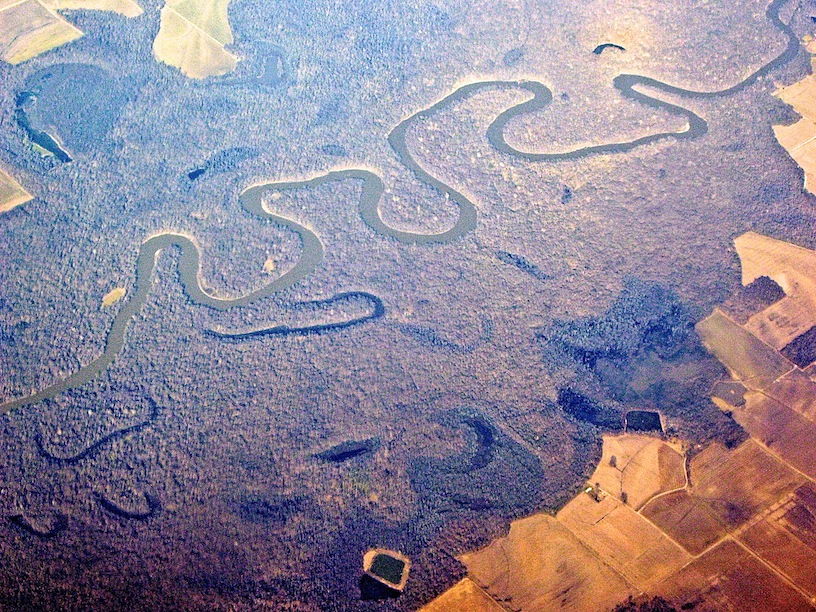 River basin forest