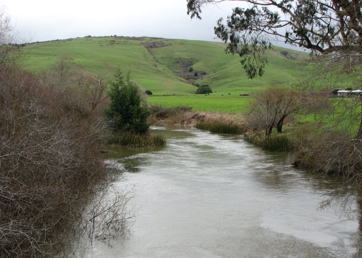 river stream 