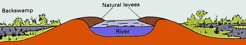 levee