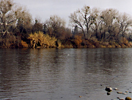 Sacramento river levee