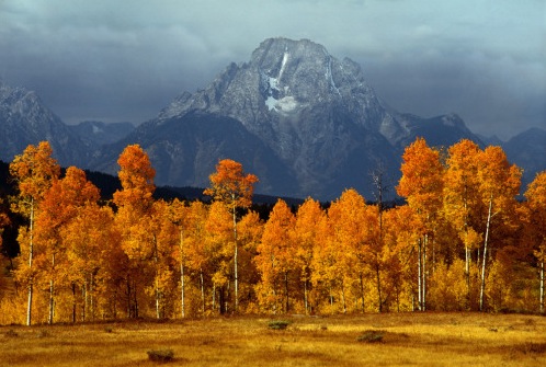 Peacable fall colors in Teton mountains, Wyoming