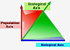 three axes of places are